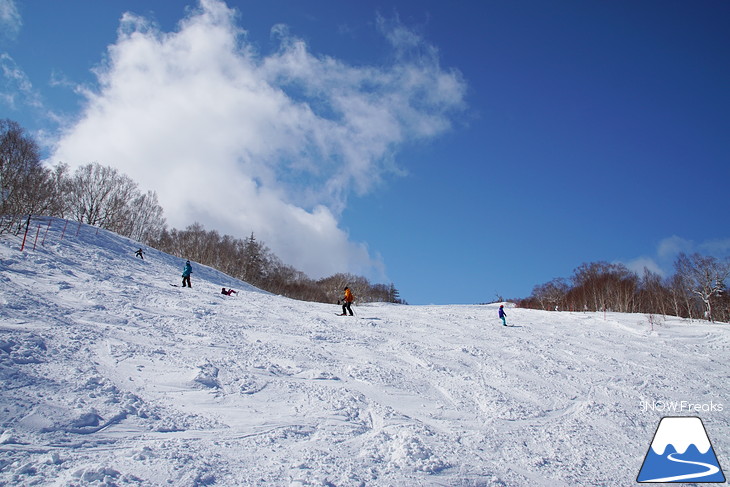 札幌国際スキー場 Welcome back POWDER SNOW !! ～パウダースノー復活～